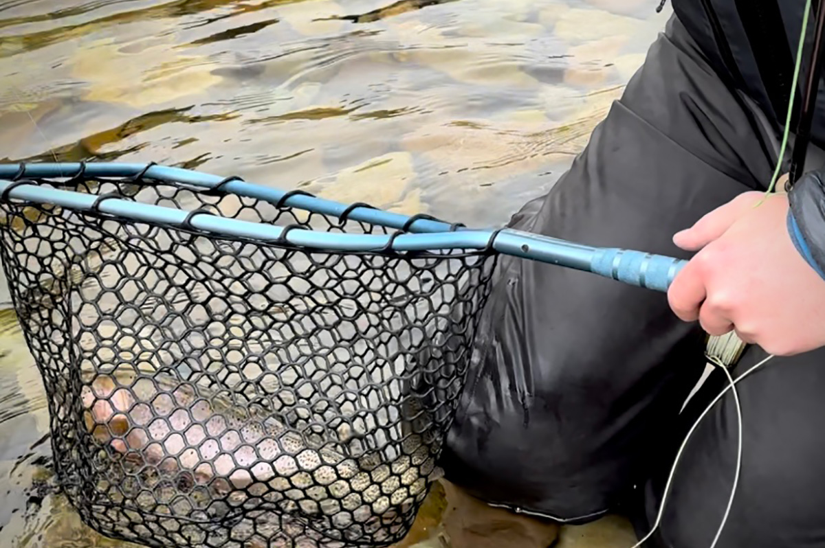 Winter Fishing North Fork Coeur d'Alene River