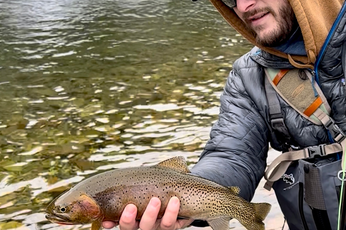 Kenyon with a cutthroat trout caught on the North Fork of the Coeur d'Alene River.
