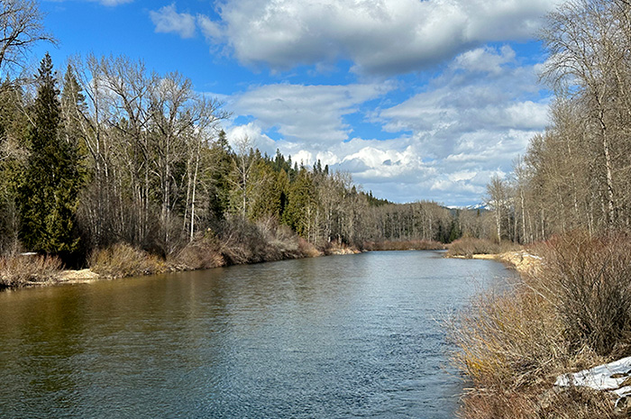 Coeur d'Alene River, Idaho