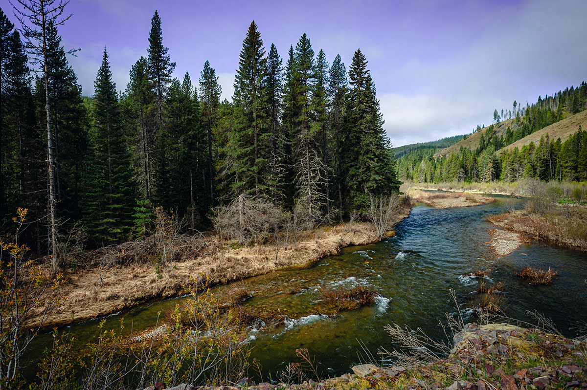 Coeur d'Alene River Idaho