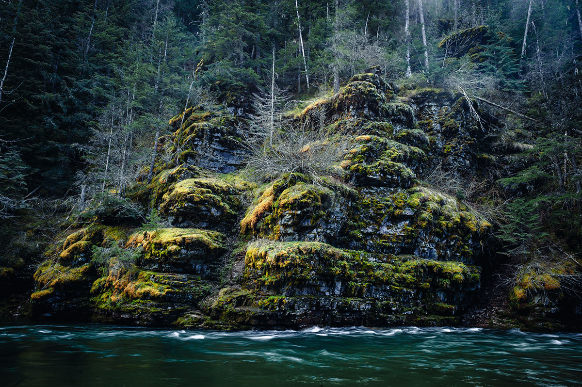 Coeur d'Alene River Idaho