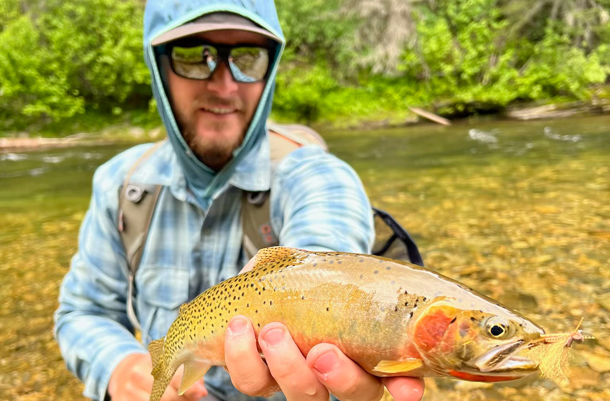 Idaho Cutthroat