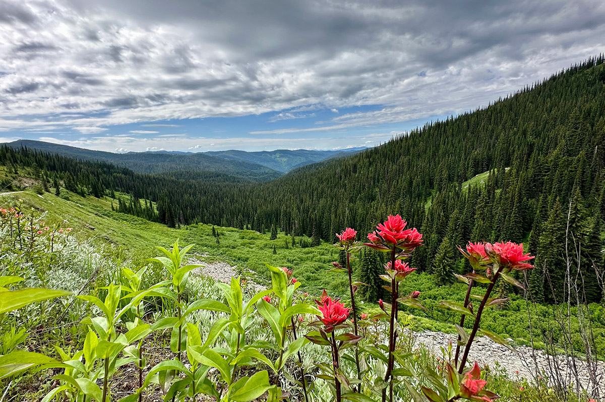 Idaho