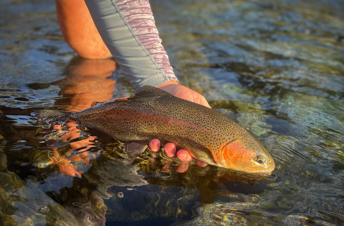 Kenyon Pitts with a nice Spokane River Redband.