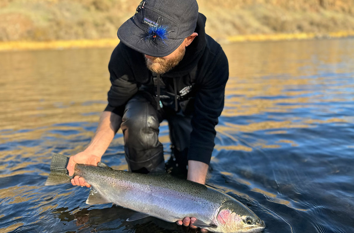 Washington Steelhead