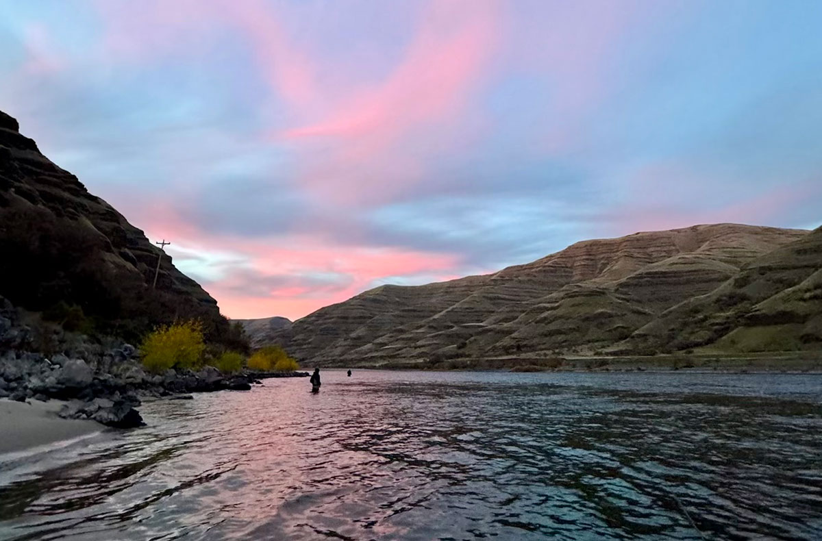 Washington Steelhead