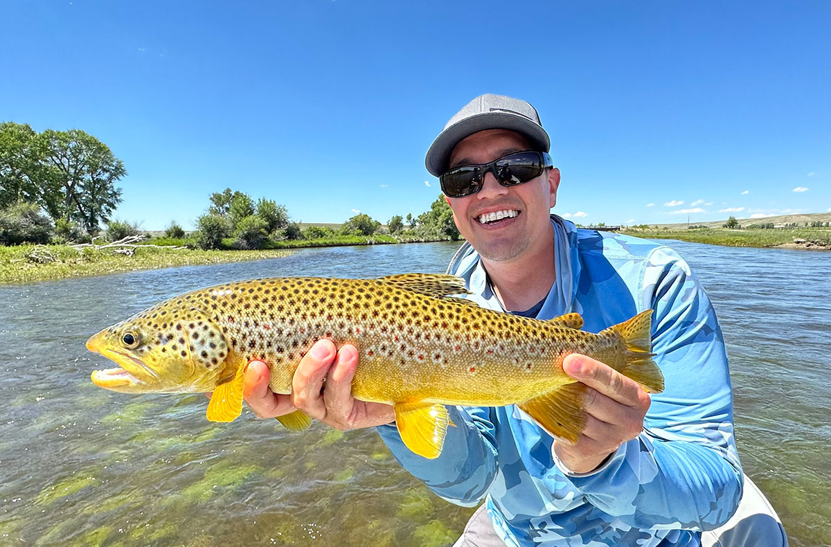 Montana Brown Trout