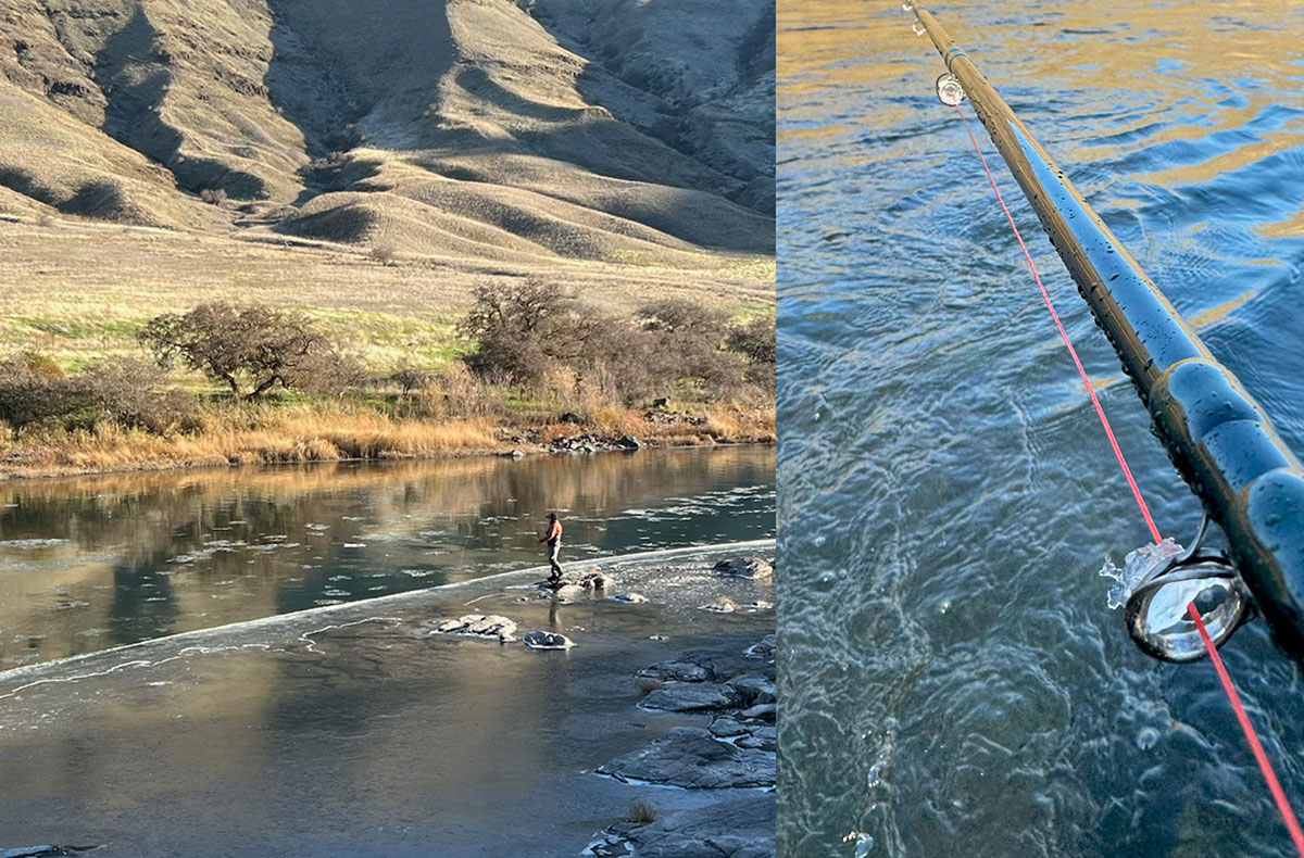 Washington Steelhead