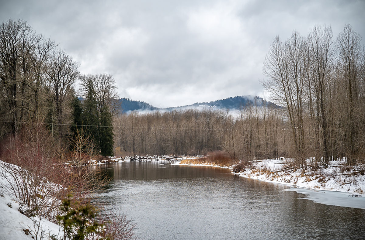 NF Coeur d'Alene River Fly Fishing Idaho