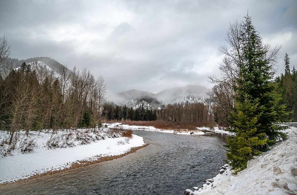 NF Coeur d'Alene River Fly Fishing Idaho