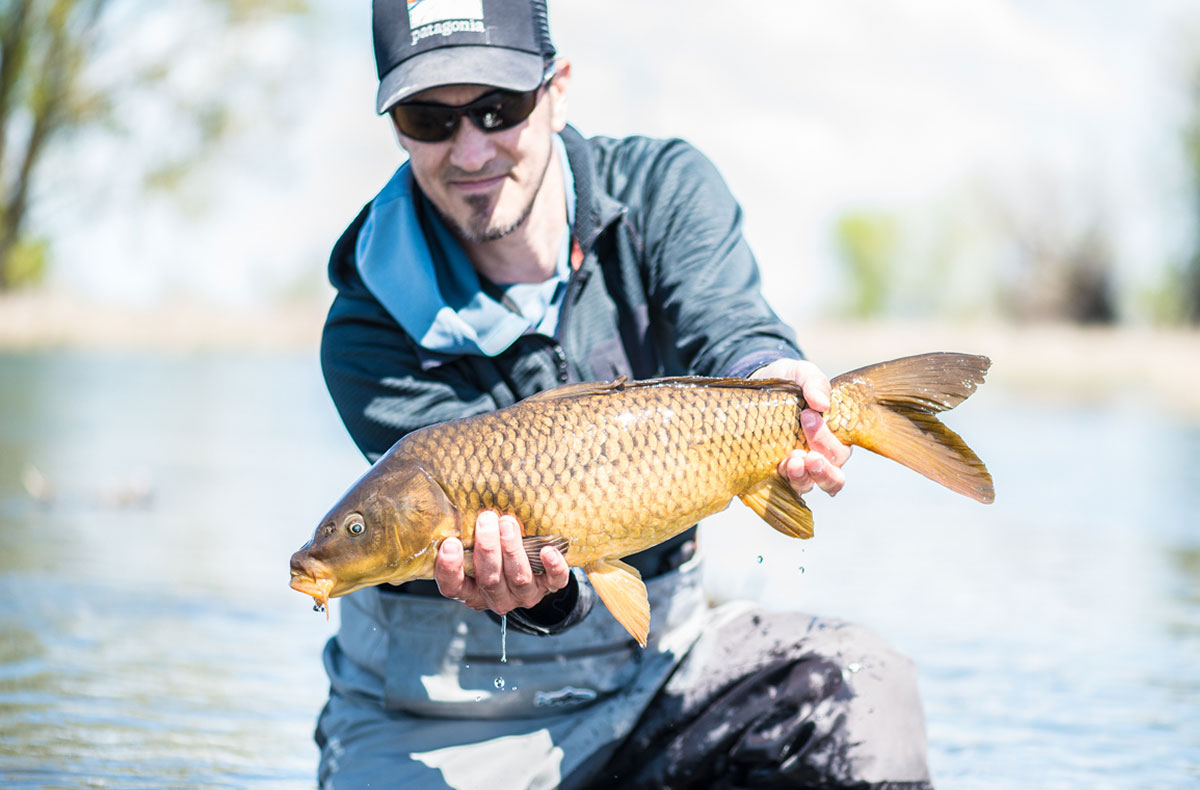 Silver Bow Fly Shop