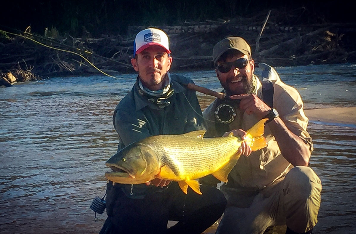 Golden Dorado Bolivia with Silver Bow Fly Shop