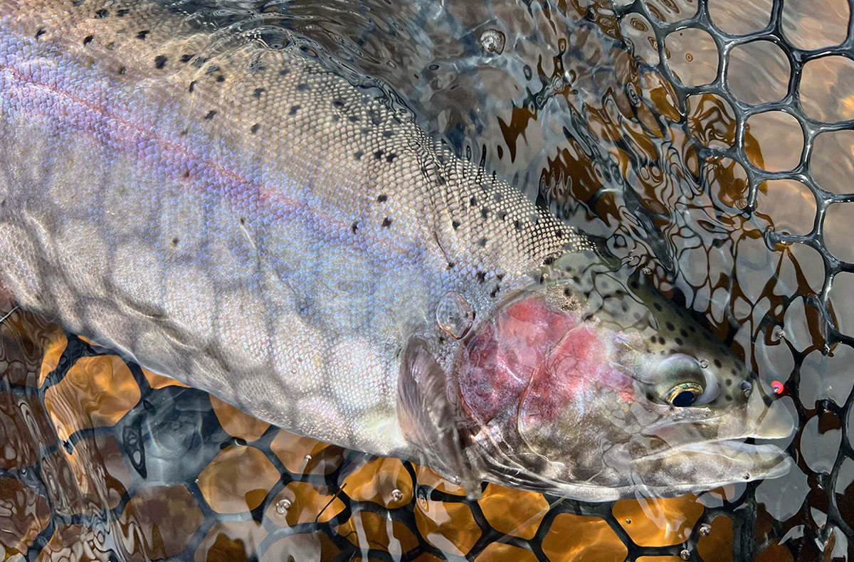 Eastern Washington Lakes