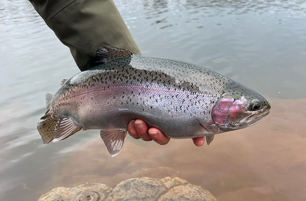 Eastern Washington Lakes