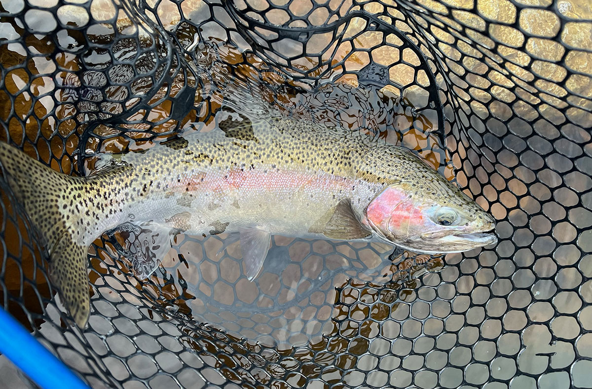 Eastern Washington Lakes