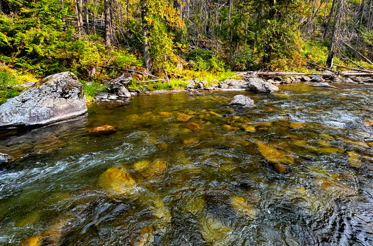 North Idaho Fly Fishing