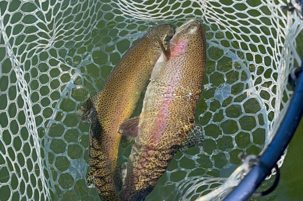 Spokane River Fly Fishing