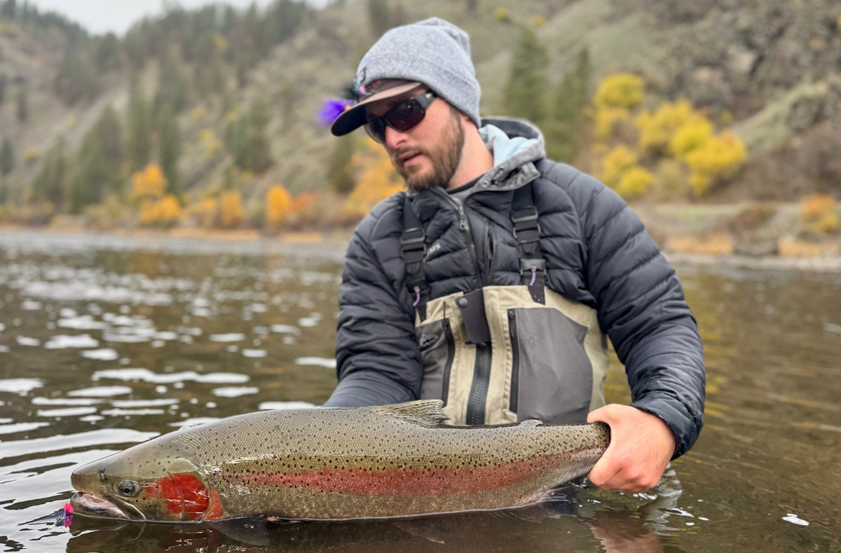 Steelhead Kenyon Pitts