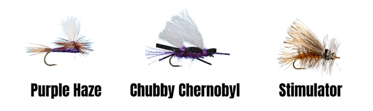 Beyond the basics withh Kenyon Pitts