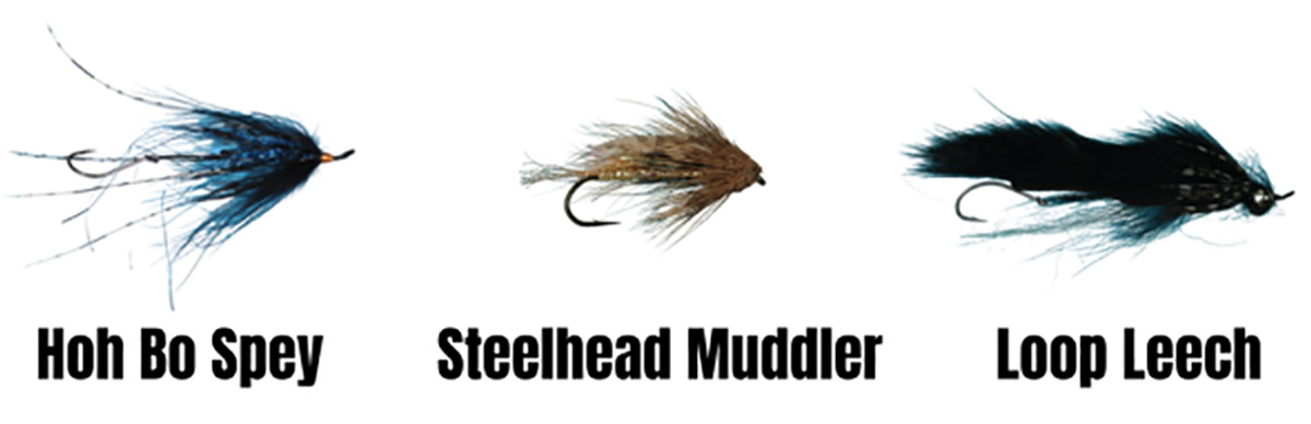 Steelhead Kenyon Pitts