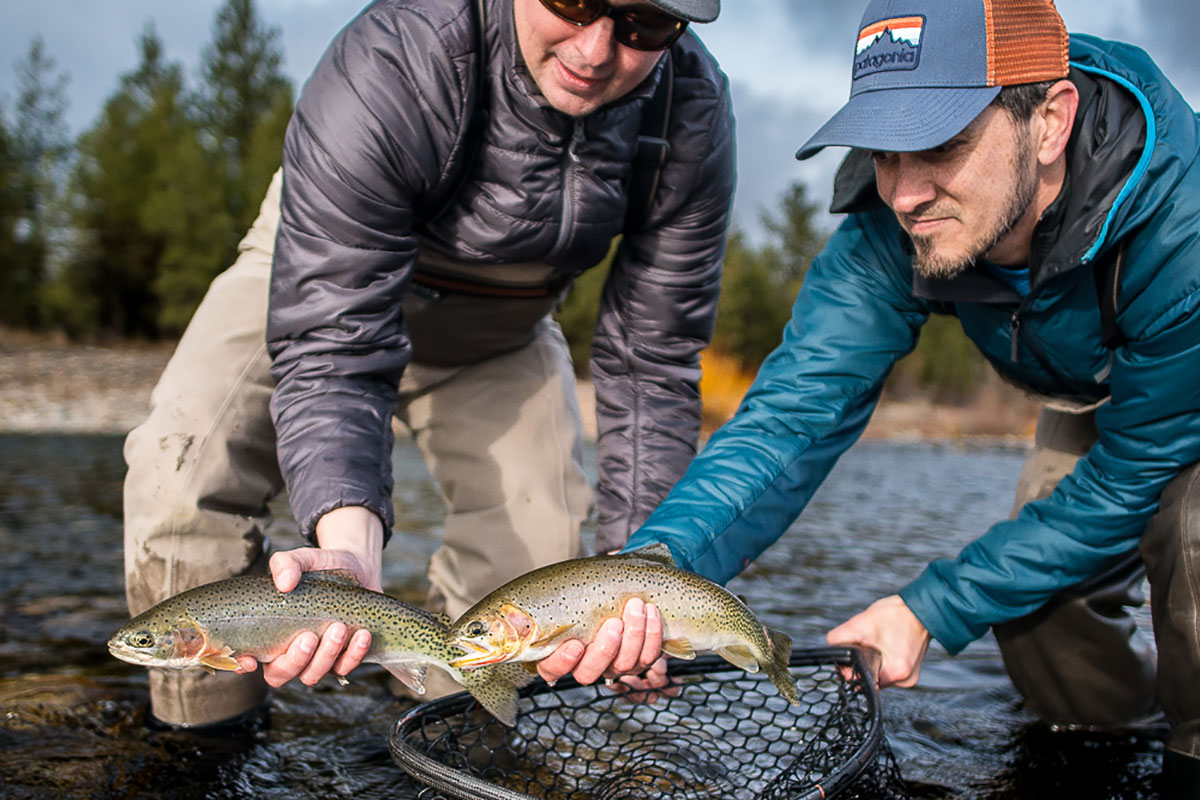 Spokane River Redband Trout