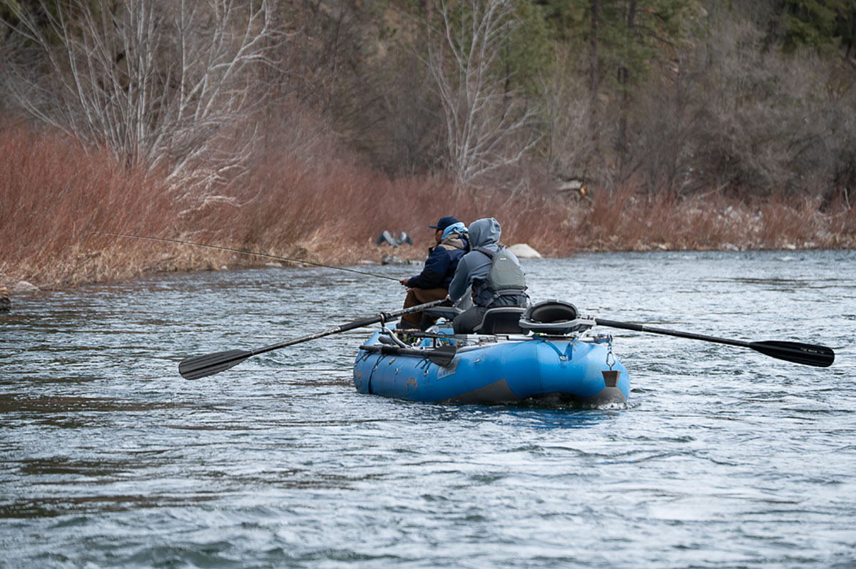 Spokane River Redband Trout