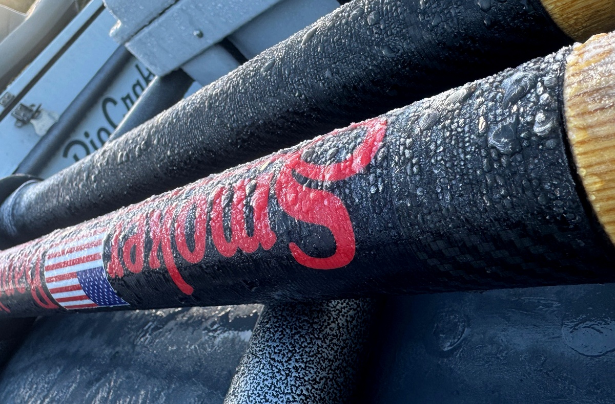 Olympic Peninsula Steelhead