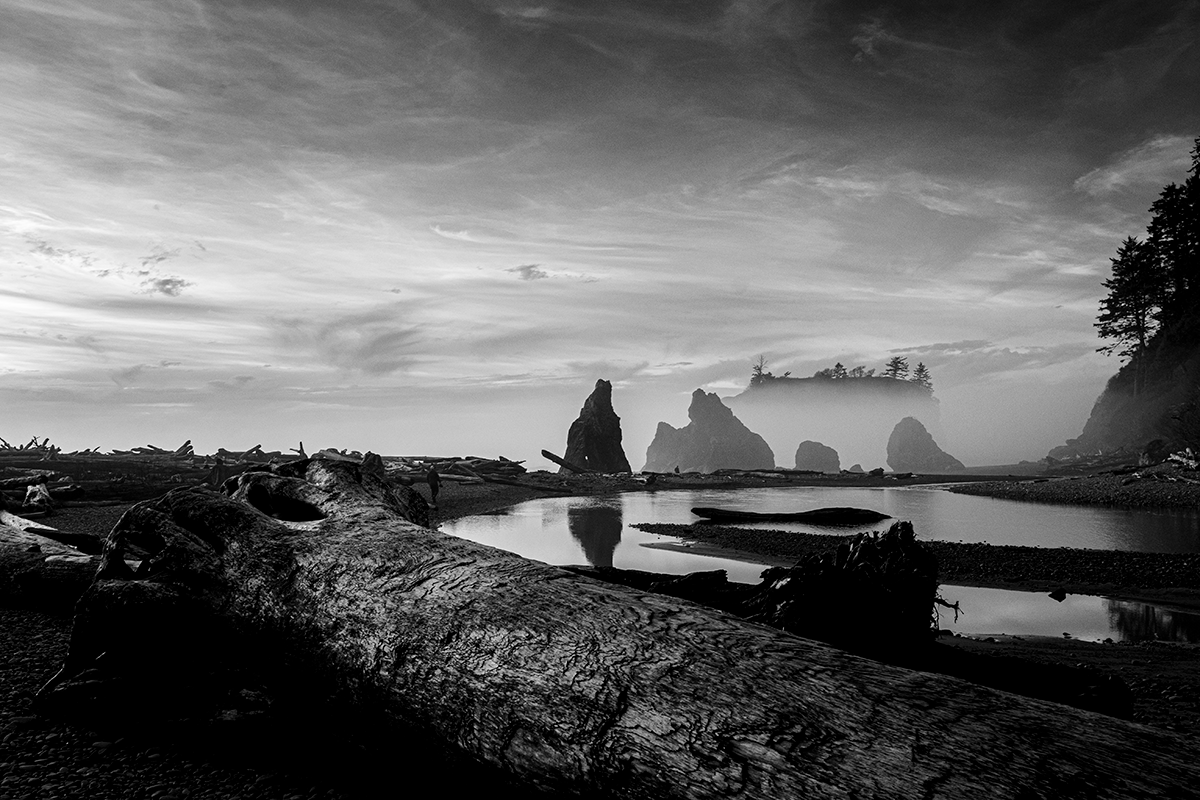 Olympic Peninsula Steelhead