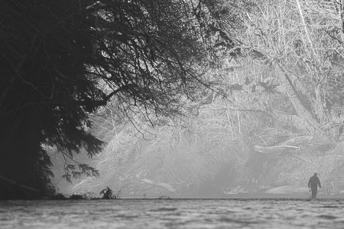 Olympic Peninsula Steelhead