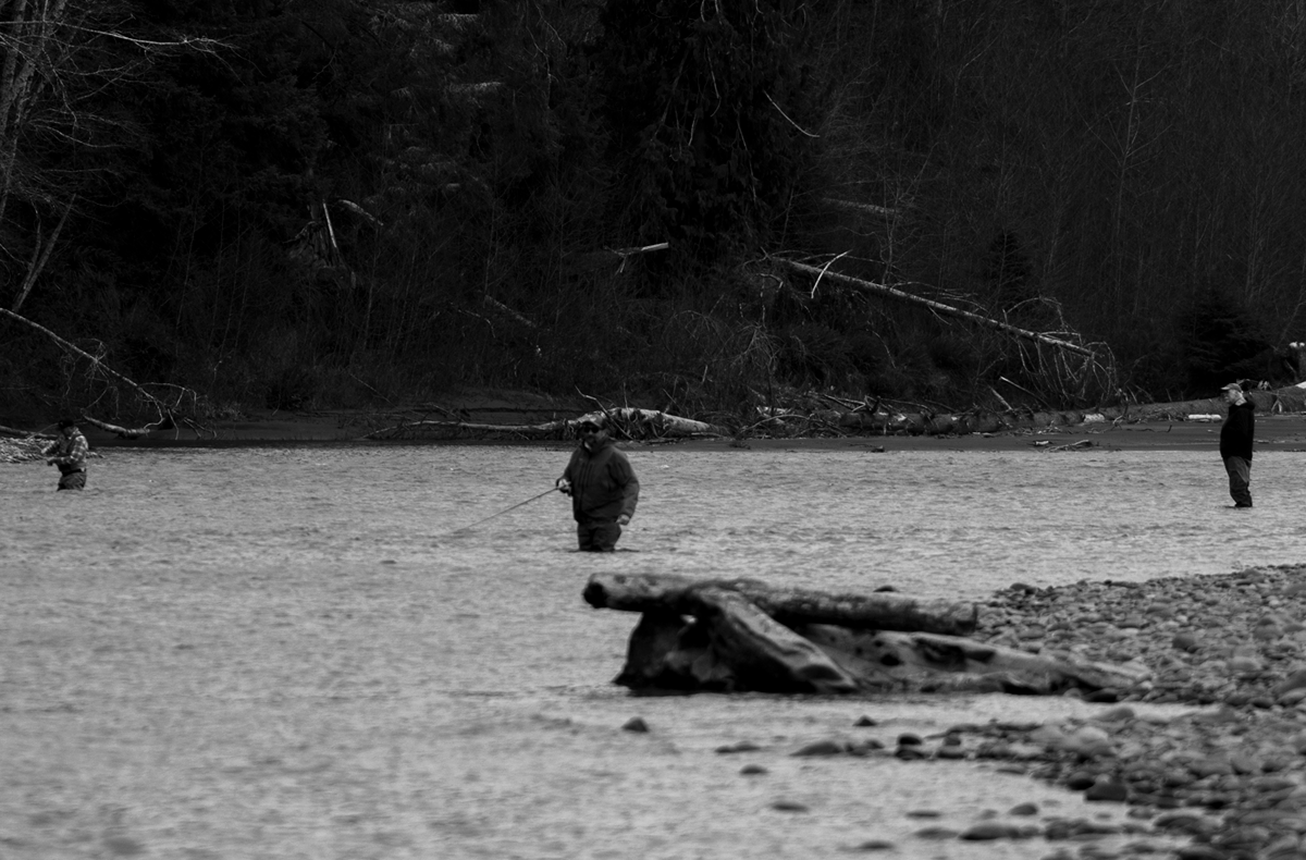 Olympic Peninsula Steelhead