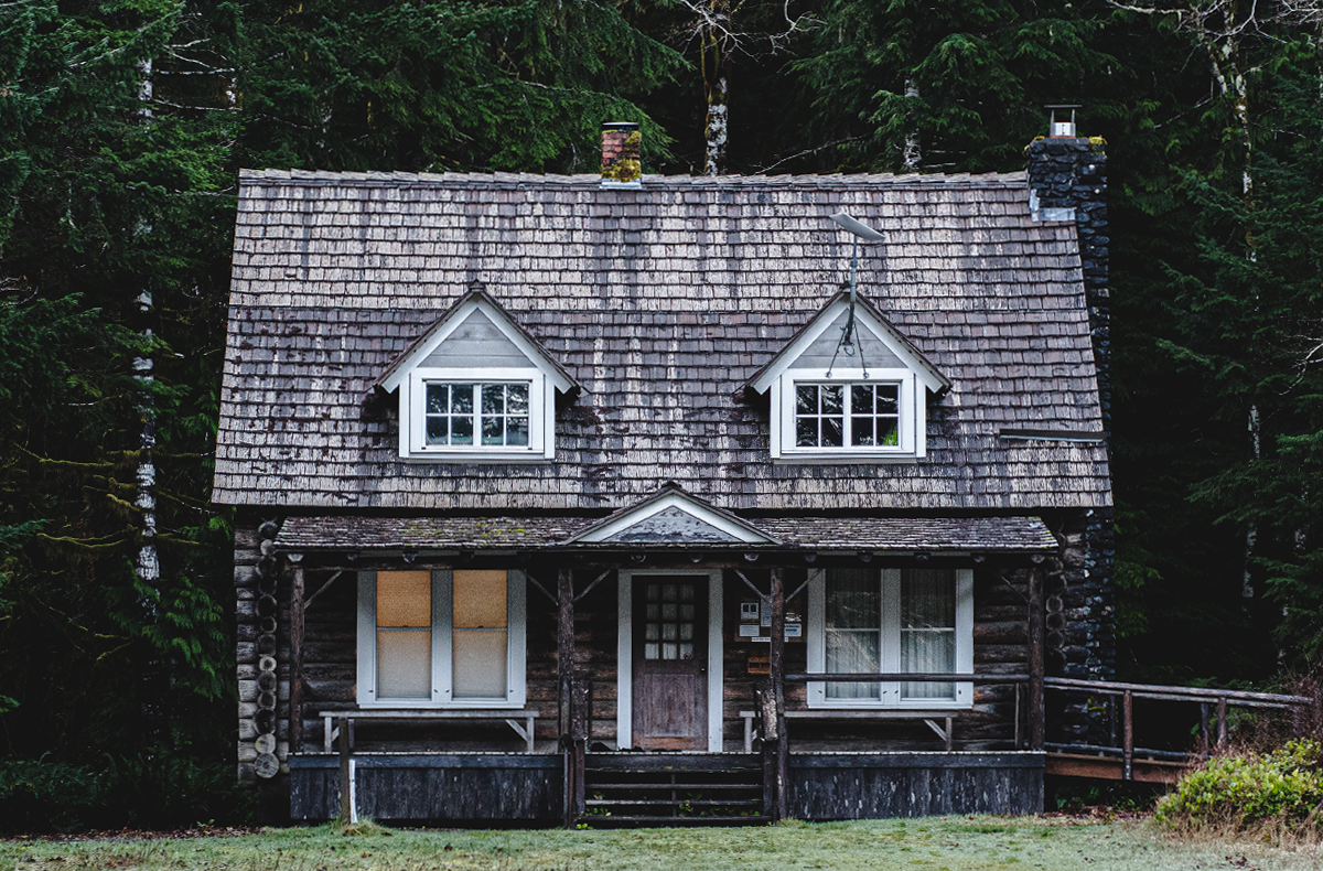 Olympic Peninsula Steelhead
