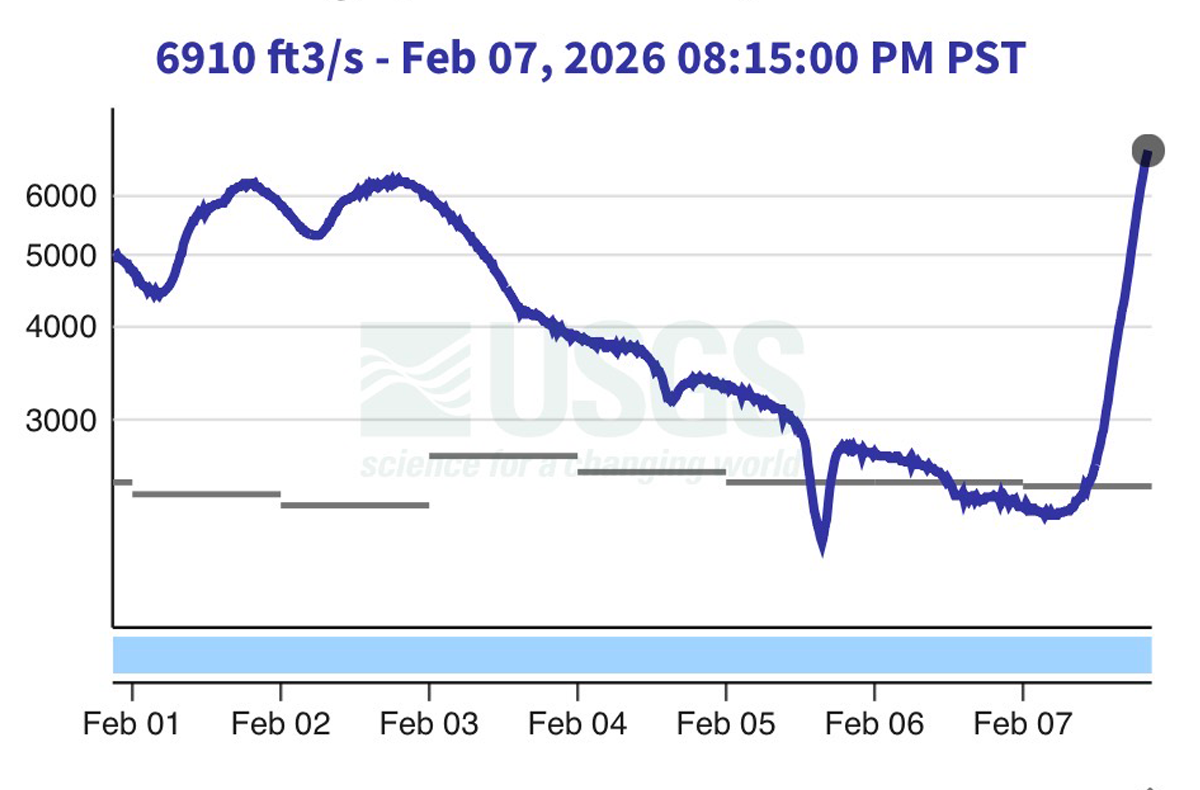 Olympic Peninsula Steelhead
