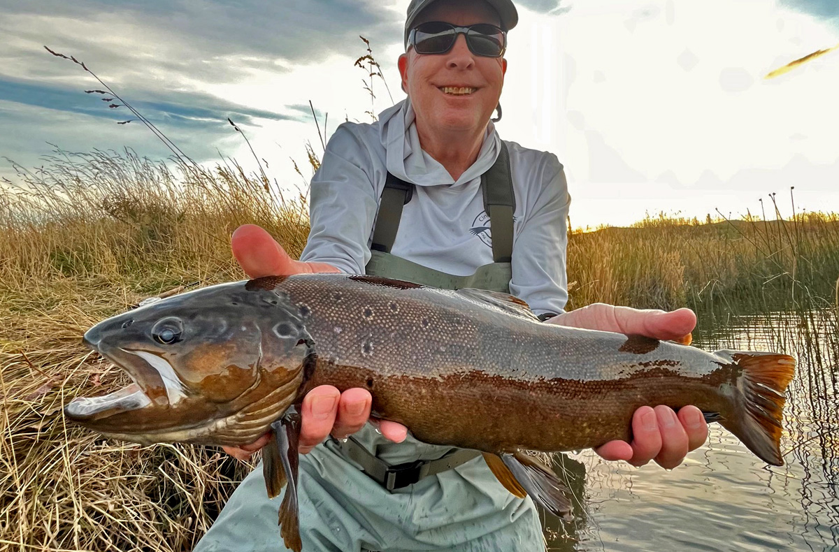 Cinco Rios Coyhaique, Chile