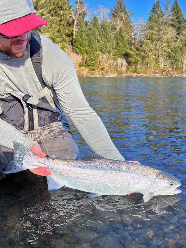 Steelhead Fishing OP Olympic Penninsula