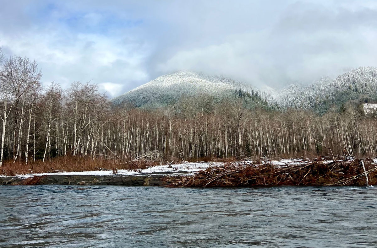 Steelhead Fishing OP Olympic Penninsula
