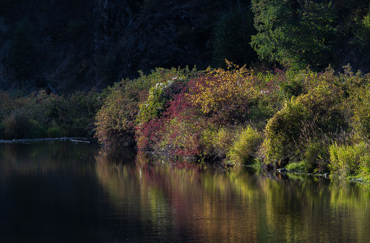 Fall Fly Fishing