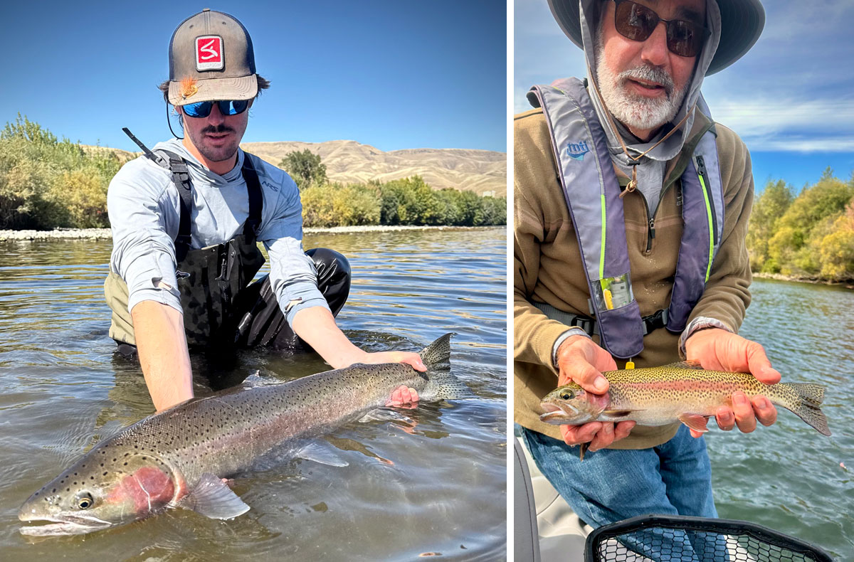 Steelhead and Spokane River Redband