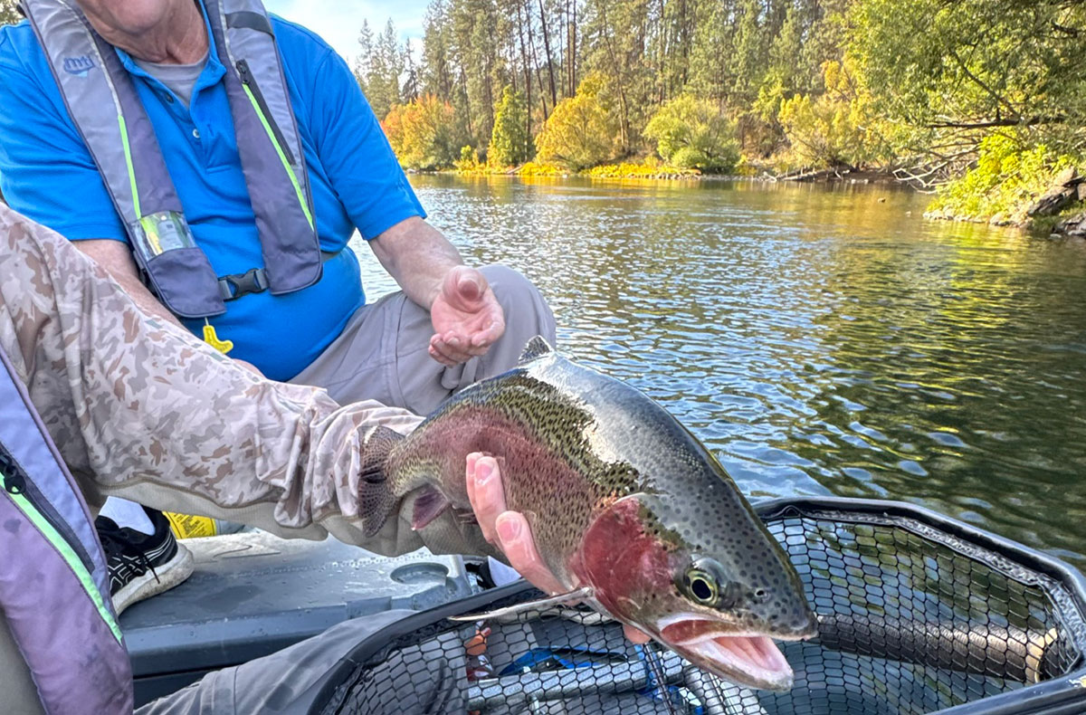 Fall Fly Fishing on the Spokane River for Redband Trout