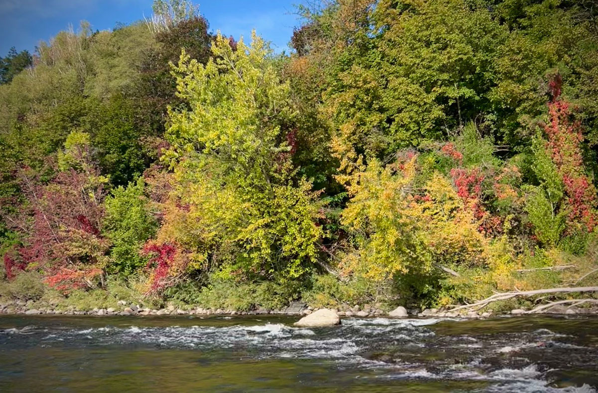 Fall on the Spokane River
