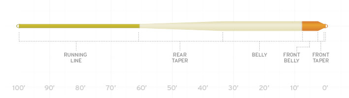 Scientific Anglers Amplitude - Smooth Anadro/Nymph Fly Line Profile.