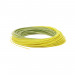 Rio Gold Fly Line, Rio Backing and Leader