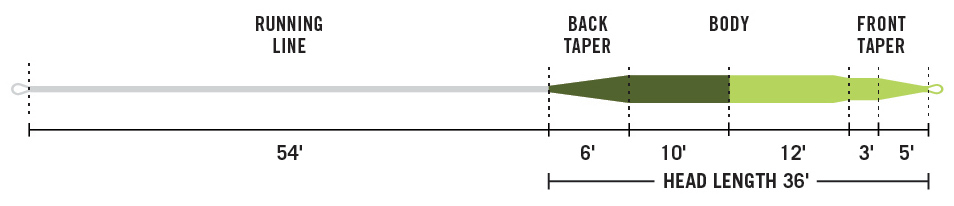 Rio Gold Profile