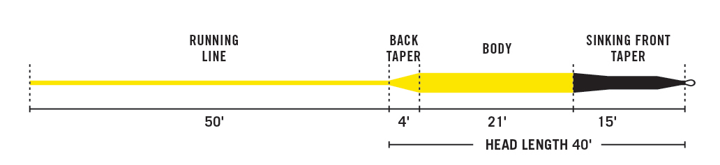 InTouch 15 Foot Sink Tip Profile.