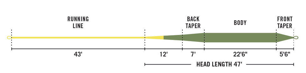 Rio Gold Profile