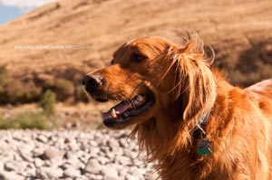 Ed letting the wind blow through his golden locks, what a life.