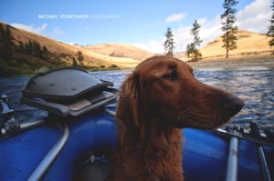 The best back seat driver you can have while fishing.