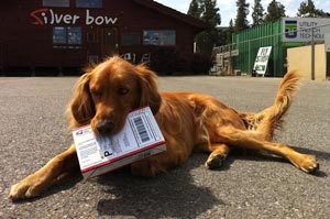 Eddy delivering the mail at the Silver Bow Fly Shop.
