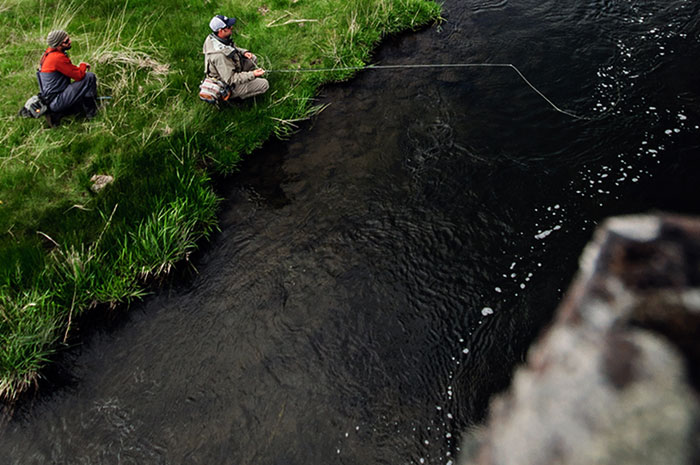 Fly Fishing Desert Spring Creeks.