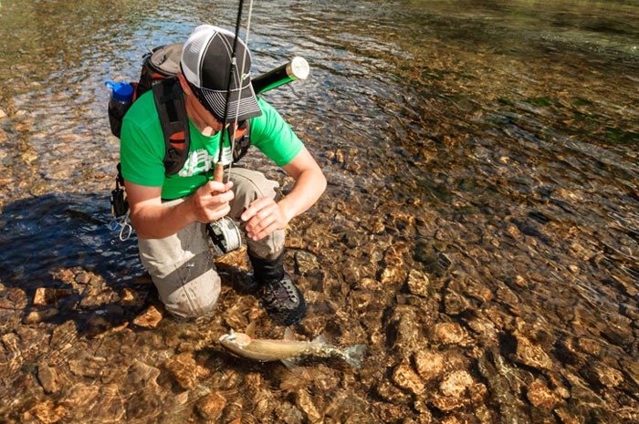 Fly Fishing in North Idaho.