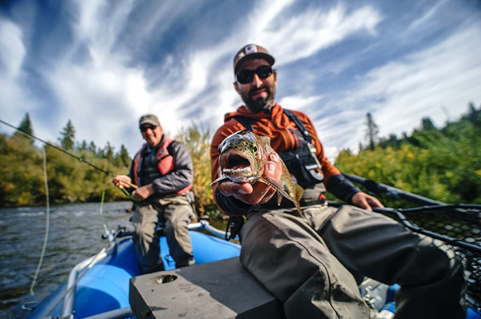 Spokane River Redband Trout